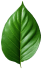 leaf-small