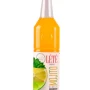 LETE - сироп для горячих и холодных напитков 1л. (Mojito classic)