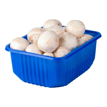 Мясо цыпленка