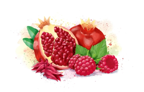 Watson syrup "Pomegranate- Raspberry-Hibiscus"