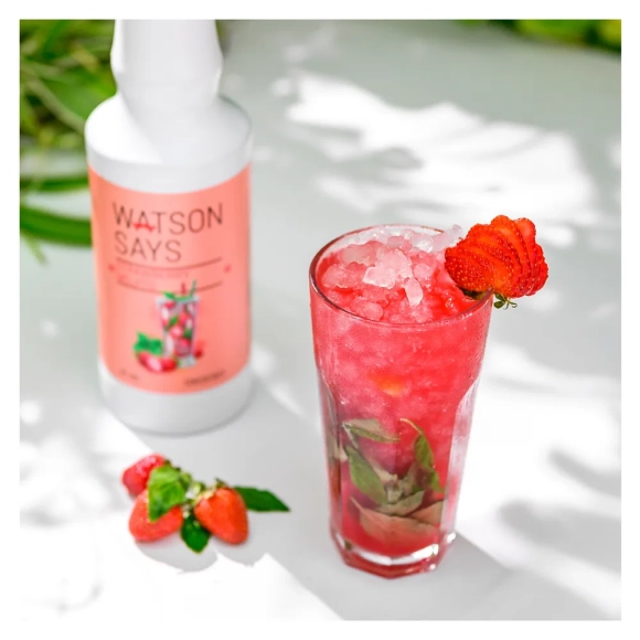 WATSON SAYS Основа для лимонадов и коктейлей Клубничный мохито, 1 кг